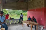 Impulsan renovación de 10 hectáreas de café robusta en Colón