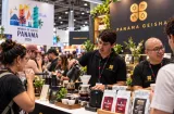 World of Coffee Panamá donará parte de sus ganancias a la Cruz Roja