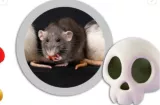 Minsa investiga posible caso de hantavirus en Los Santos