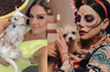 Ingrid De Ycaza y Bettina Romina despiden a sus fieles compañeros peludos