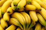 Exportaciones panameñas crecen 17.2% a septiembre de 2026