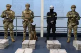 Senan incauta 1,148 paquetes de presunta droga al sur de isla Jicarón