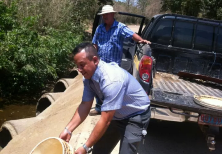 Vierten el contenido de la chicha fuerte. (Foto:J.Adames)