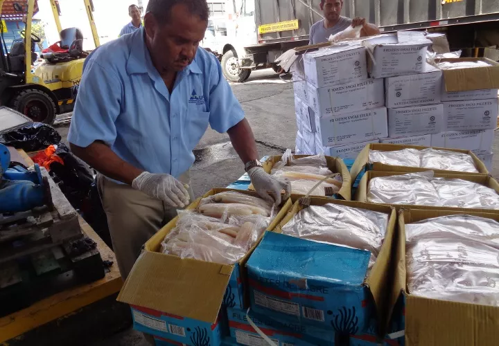 Para quienes quieren meter gato por liebre. La Aupsa detectó en el área de Guabito, provincia de Bocas del Toro, 8,000 unidades de plátanos procedentes de Costa Rica, los cuales se pretendía ingresar al territorio nacional sin cumplir con los respectivos requisitos fitosanitarios para su importación a Panamá.