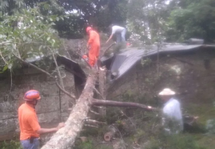 Para el personal del Sistema Nacional de Protección Civil (Sinaproc), que ayer realizó corte y remoción de árboles caídos sobre vivienda en Cerro Canajagua, en la provincia de Los Santos, evitando de esta manera una desgracia. 