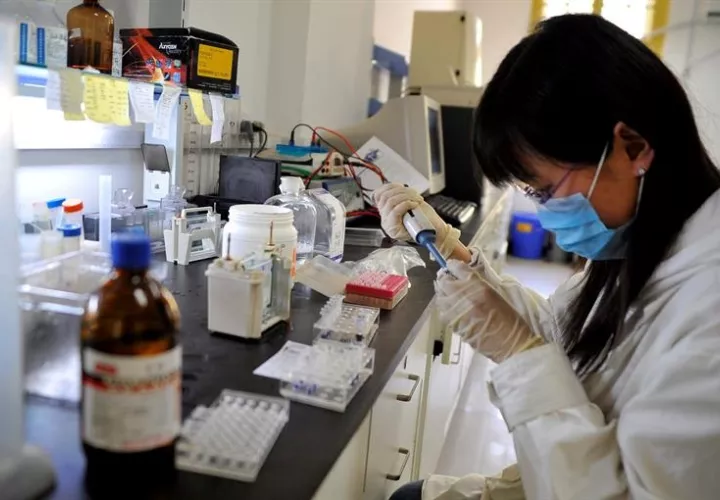 Emplean en Japón por primera vez Inteligencia Artificial para detectar un tipo de leucemia Una científica trabaja en un laboratorio.  /  Foto: EFE Archivo