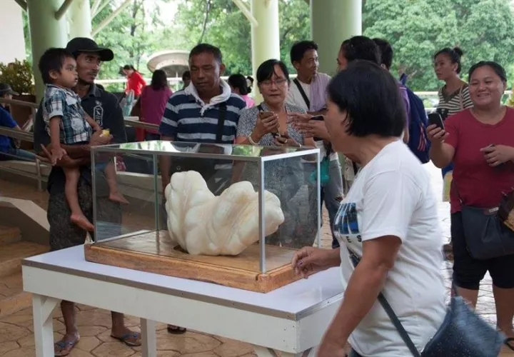 Imagen muestra a ciudadanos filipinos mientras contemplan y fotografían una perla gigante en Puerto Princesa, en la isla de Palawan, Filipinas.   /  Foto: EFE