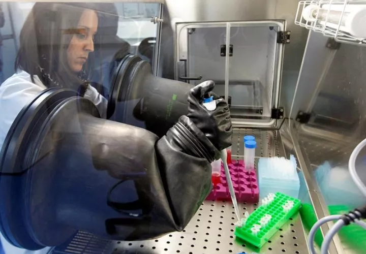 Detalle de un laboratorio para la producción con células madre de órganos bioartificiales para trasplante.  / Foto: EFE Archivo