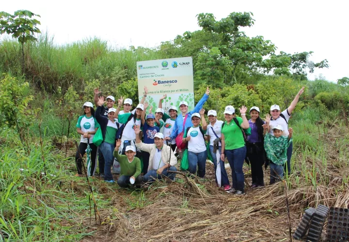 Para unos 100 colaboradores de Banesco Panamá, quienes participaron el pasado sábado en la Alianza por el Millón de Hectáreas al sembrar más de mil plantones en el Parque Nacional Camino de Cruces. Además realizarán actividades para recaudar fondos y contribuir con el programa de reforestación de Ancon.