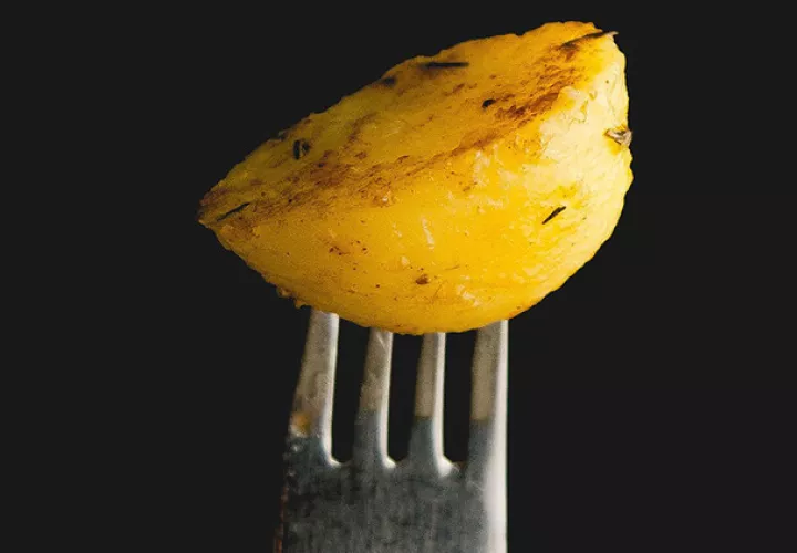 Foto ilustrativa / pixabay.com