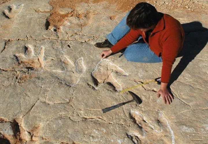 Fotografía facilitada por los investigadores del Instituto Catalán de Paleontología (ICP) que han documentado en una cantera del Vale de Meio (Portugal) más de 80 rastros y 700 huellas.  /  Foto: EFE
