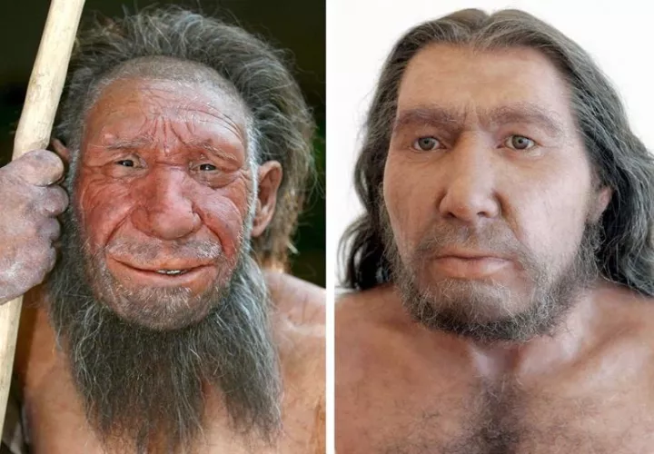 La fotografía muestra dos reconstrucciones de Hombres de Neanderthal del museo Neanderthal de Mettmann, en Bonn, Alemania.  /  Foto: EFE Archivo