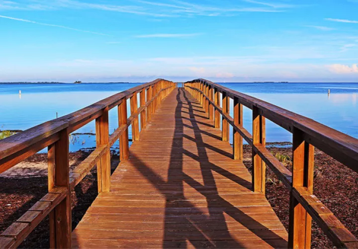 Esta lesión genera dificultad o incapacidad para responder a los estímulos que se presentan en la parte contraria al hemisferio cerebral dañado.  /  Foto: Pixabay