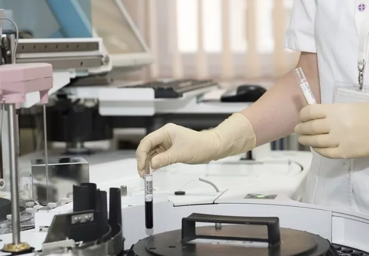 Imagen ilustrativa - Pixabay