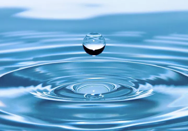 Foto Ilustrativa - Pixabay