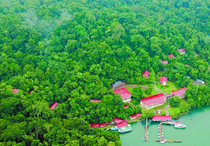 Podrán participar estudiantes matriculados en una universidad de Panamá, en el área de biología o ciencias afines.  /  Foto: Archivo