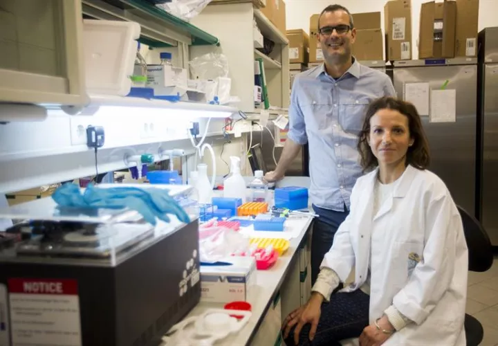 Los científicos del IRB Barcelona, Salvador Aznar Benitah (i) y Gloria Pascual (d), posan hoy para los medios en Barcelona. EFE