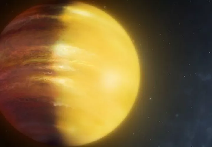 University of Warwick  -  Mark Garlick