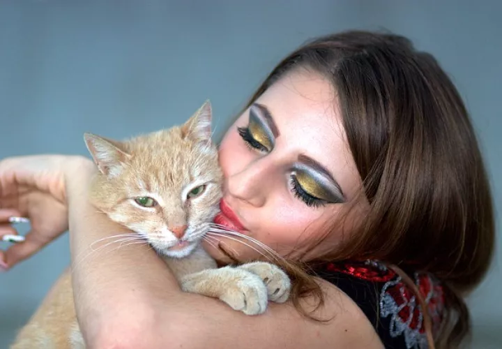 Foto Ilustrativa - Pixabay