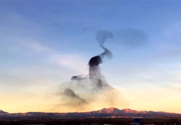 Captura de pantalla / Marco Campazas / Vimeo