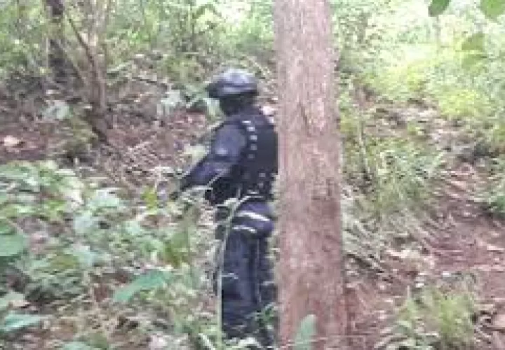 Colombiano es primera víctima reconocida de fosa común | Critica