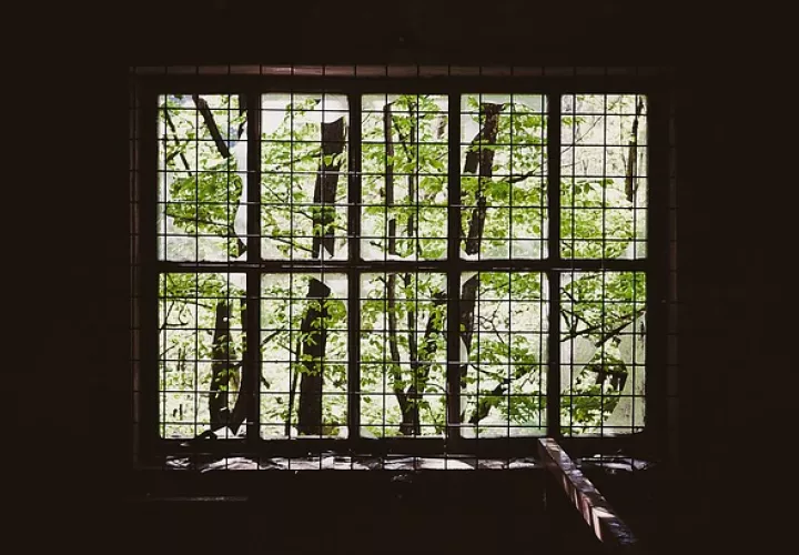 Foto Ilustrativa - Pixabay