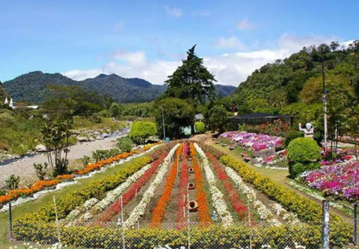 Para el inicio de la Feria de las Flores y el Café en Boquete. Se trata del evento que abre la temporada de ferias en Chiriquí y en el resto del país. El año pasado, más de 144 mil personas asistieron, y la expectativa es que este año se supere esa cifra. Este año se reacondicionaron instalaciones y hay nuevos jardines.