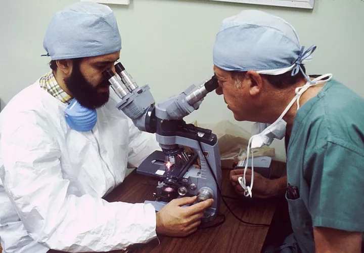 Foto Ilustrativa - Pixabay