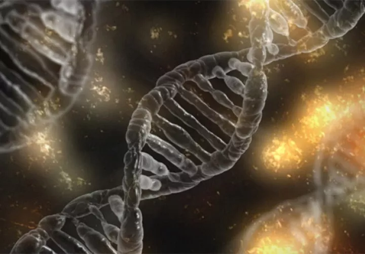 ADN. Foto ilustrativa