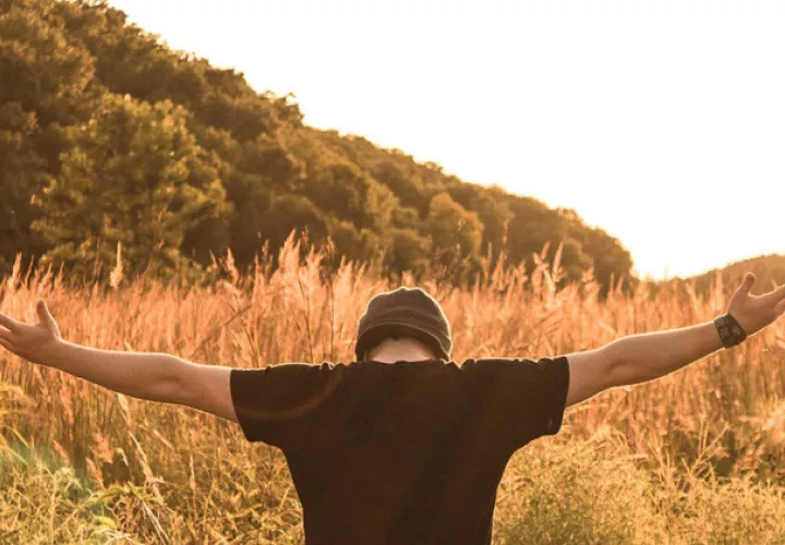 Foto Ilustrativa - Pixabay