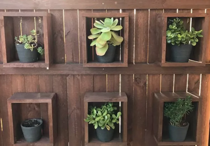 Facebook / Sunshine Coast Snake Catchers 24/7