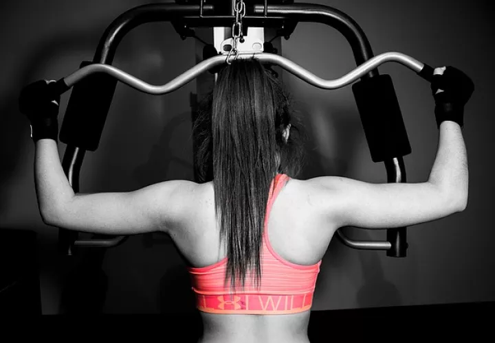 Foto Ilustrativa - Pixabay