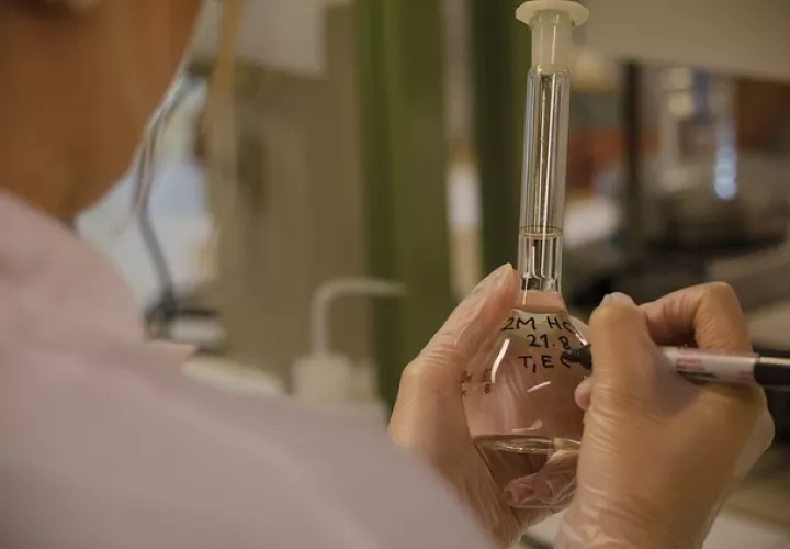 Foto Ilustrativa - Pixabay