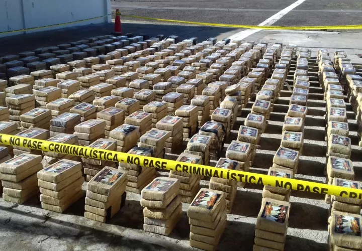 Vista general de la sustancia ilícita decomisada.  /  Foto: Mayra Madrid