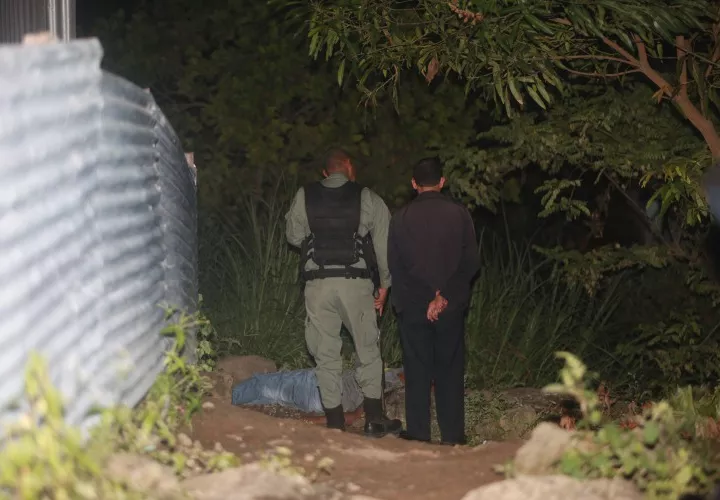 Una de las víctimas estaba detrás de una cerca, a orilla de herbazales. Foto Alexander Santamaría Crítica 