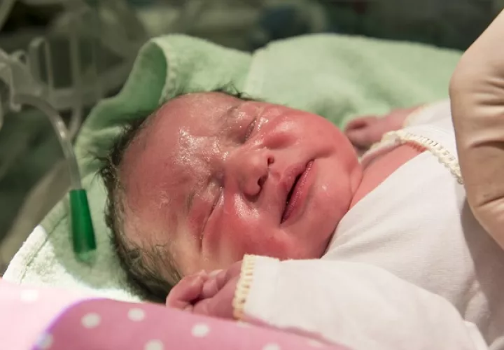 Foto Ilustrativa - Pixabay