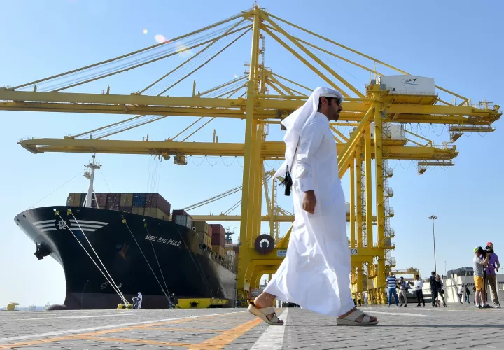 Barcos de contenedores MSC Sao Paulo en el Puerto de Hamad, en Doha, capital de Catar. /  Foto: Xinhua