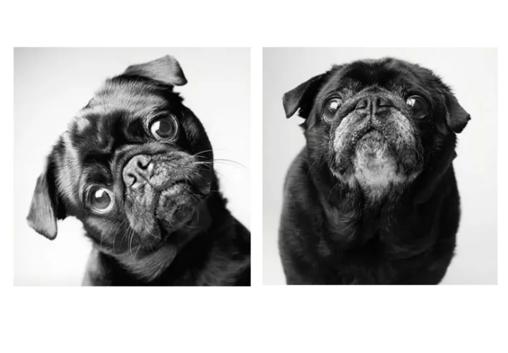 Maddie y Ellie — 7 and 6 años; 14 and 13 años - Proyecto fotográfico fascinante y profundamente conmovedor. / Fotos: Amanda Jones