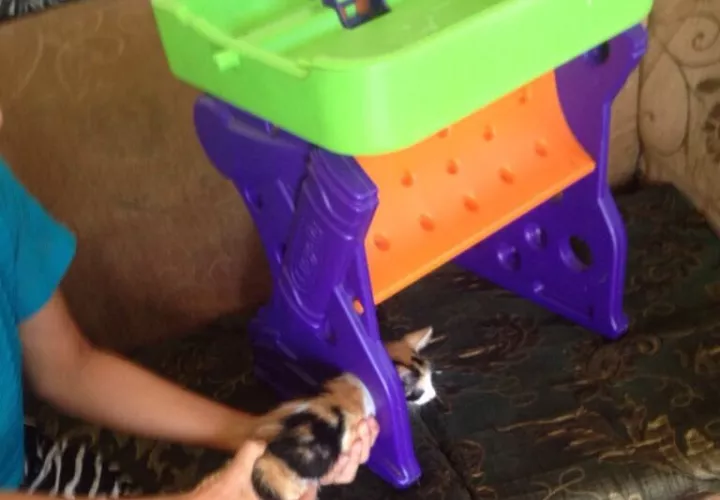 La dueña del gato tuvo que mantenerlo suspendido mientras llegaban los camisas roja.  /  Foto: @BugabaBomberos.