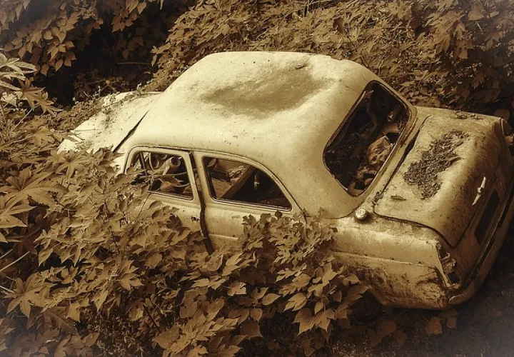 Foto Ilustrativa - Pixabay