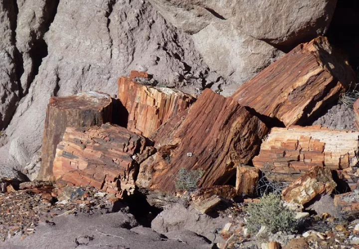 Foto Ilustrativa - Pixabay