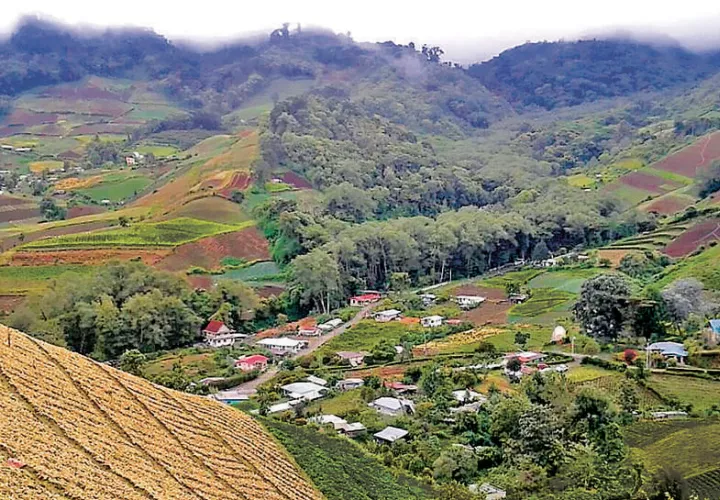 Cultivos de Tierras Altas, Chiriquí.  /  Foto: Archivo