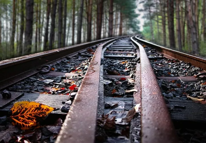 Foto Ilustrativa - Pixabay