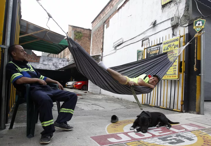 Hasta el perro lo celebra.