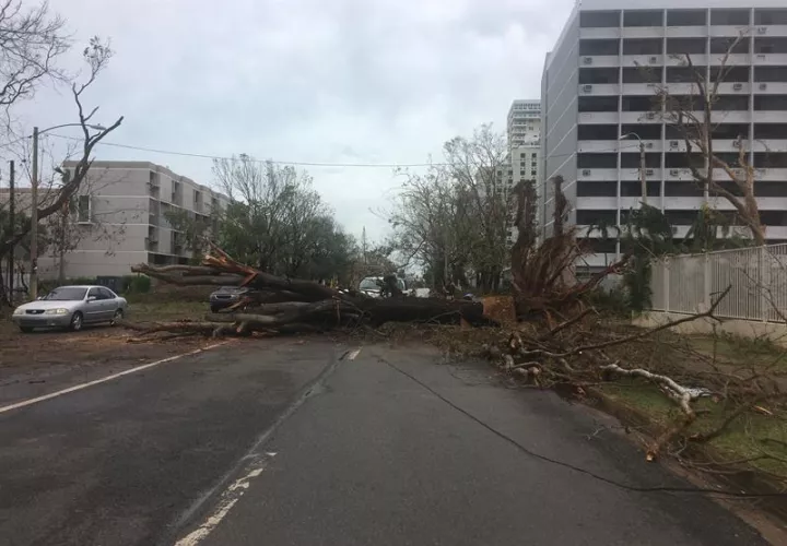 Vista de los daños causados por el paso del huracán María. EFE/Archivo
