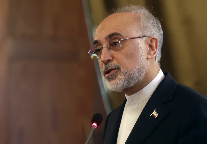 Ali Akbar Salehi, jefe de la Organización de Energía Atómica de Irán, en una conferencia sobre cooperación internacional para mejorar la seguridad nuclear. /  AP