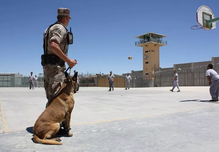 Foto Ilustrativa Pixabay