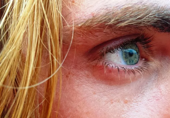 Foto Ilustrativa Pixabay