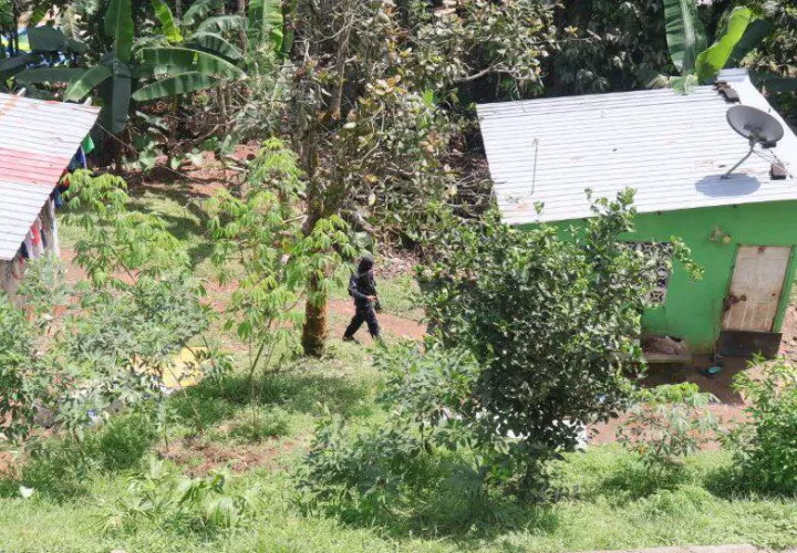 Foto: @protegery servir