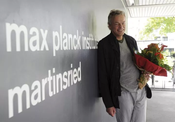 La neurociencia avanza en la investigación de relación de células cerebrales